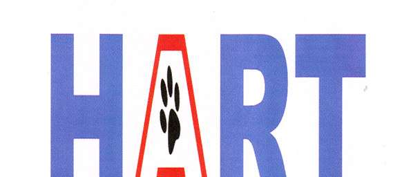 Mark logo